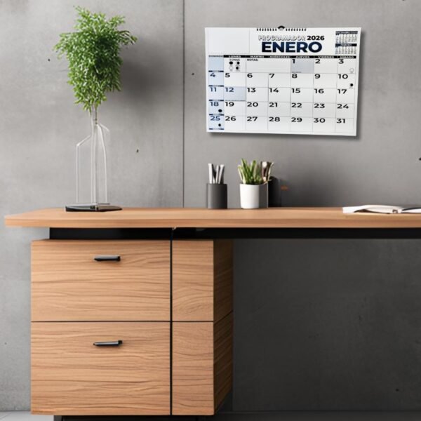 Anillo H IA 2 Programador Calendario Pared horizontal ¼ 35 X 50 Cm 2026
