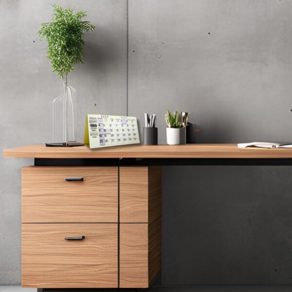 Programador Calendario Escritorio 12 X 23 Cm  2026