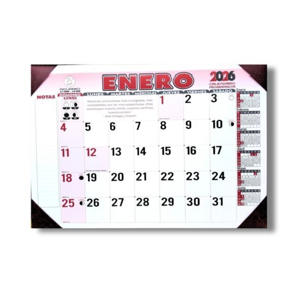 Programador Escritorio Vade (4 Puntas) 1/8 25 X 35 Cm  2026