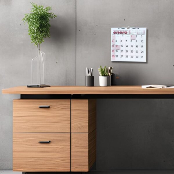 Programador Calendario Pared  23 X 25 Cm  2026