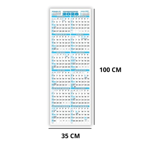 MEDIDA Calendario Programador Afiche Pared TheBigDay 100x35 X3